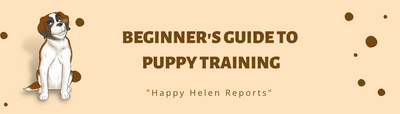 Beginner's Guide to Puppy Training
