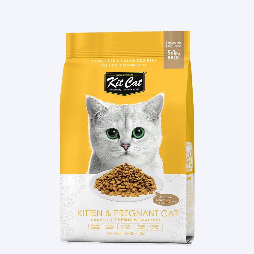 Kit Cat Chicken Premium Dry Kitten & Pregnant Cat Food