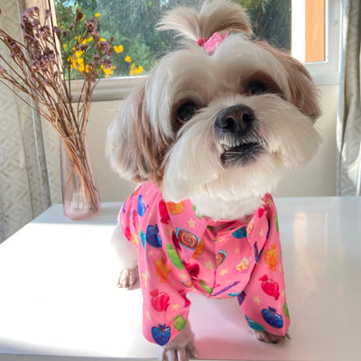 Coochipoo Cutie Candy Shirt for Dogs