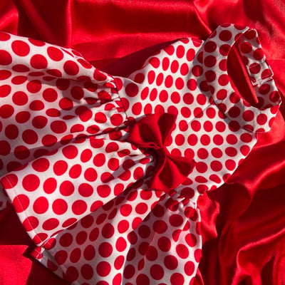 Coochipoo Red Polka Dress for Dogs