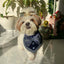 Coochipoo Shimmer Navy Tuxedo Bandana For Dogs