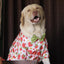 Coochipoo Strawberry Shower Shirt for Dogs