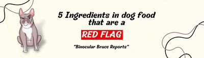 5 Ingredients that makes Dog food a RED FLAG