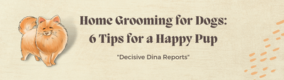 Home Grooming for Dogs: 6 Tips for a Happy Pup