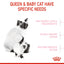Royal Canin Mother And Babycat Dry Cat Food