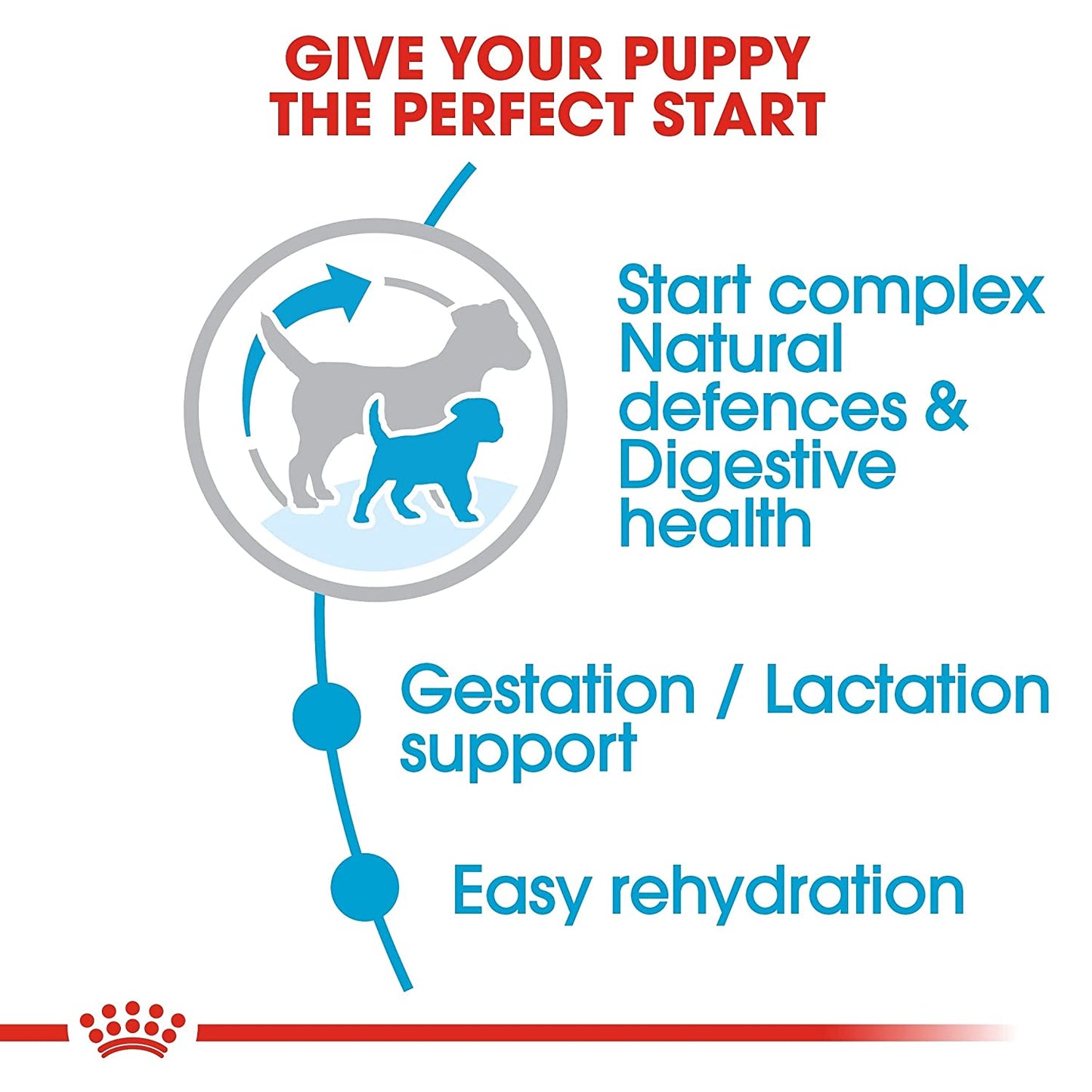 Royal Canin Mini Starter Mother & Puppy Dry Food