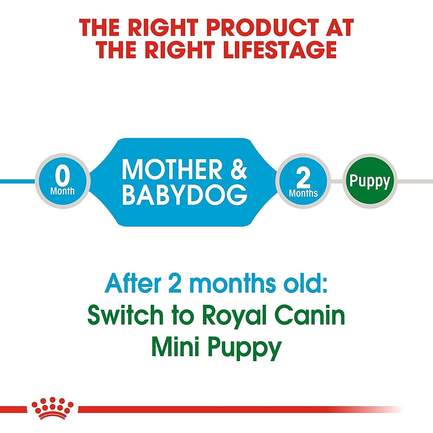 Royal Canin Mini Starter Mother & Puppy Dry Food