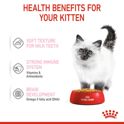 Royal Canin Kitten Jelly Wet Cat Food - 85 g packs
