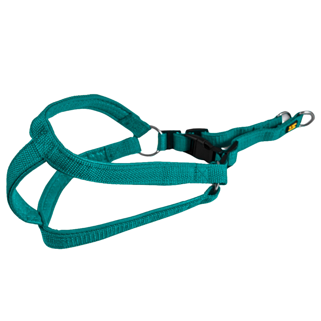 Hush hush hounds Sturdy Solid Color Harness for Dogs that Pull