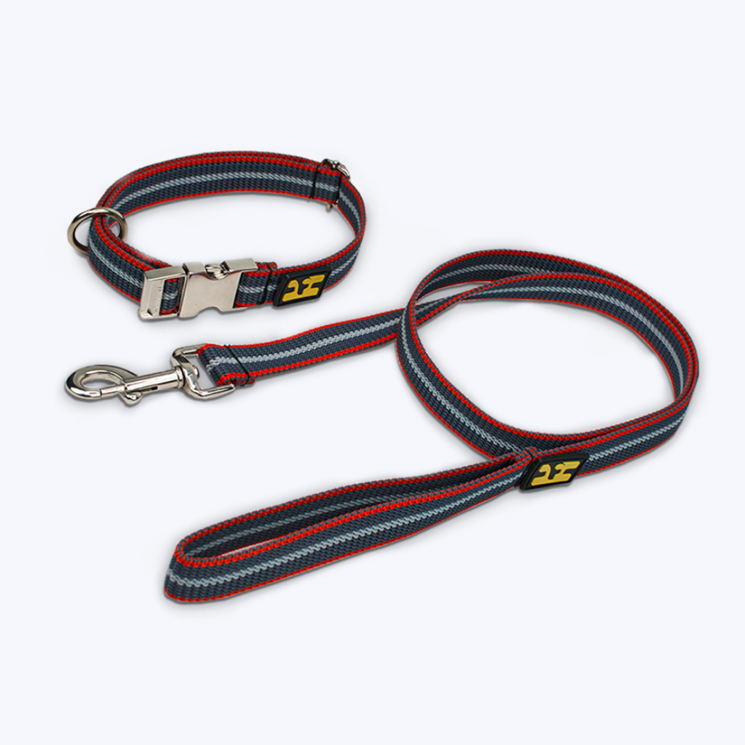 Hush Hush Hounds Party-Ready Collar & Leash Combo for Dogs