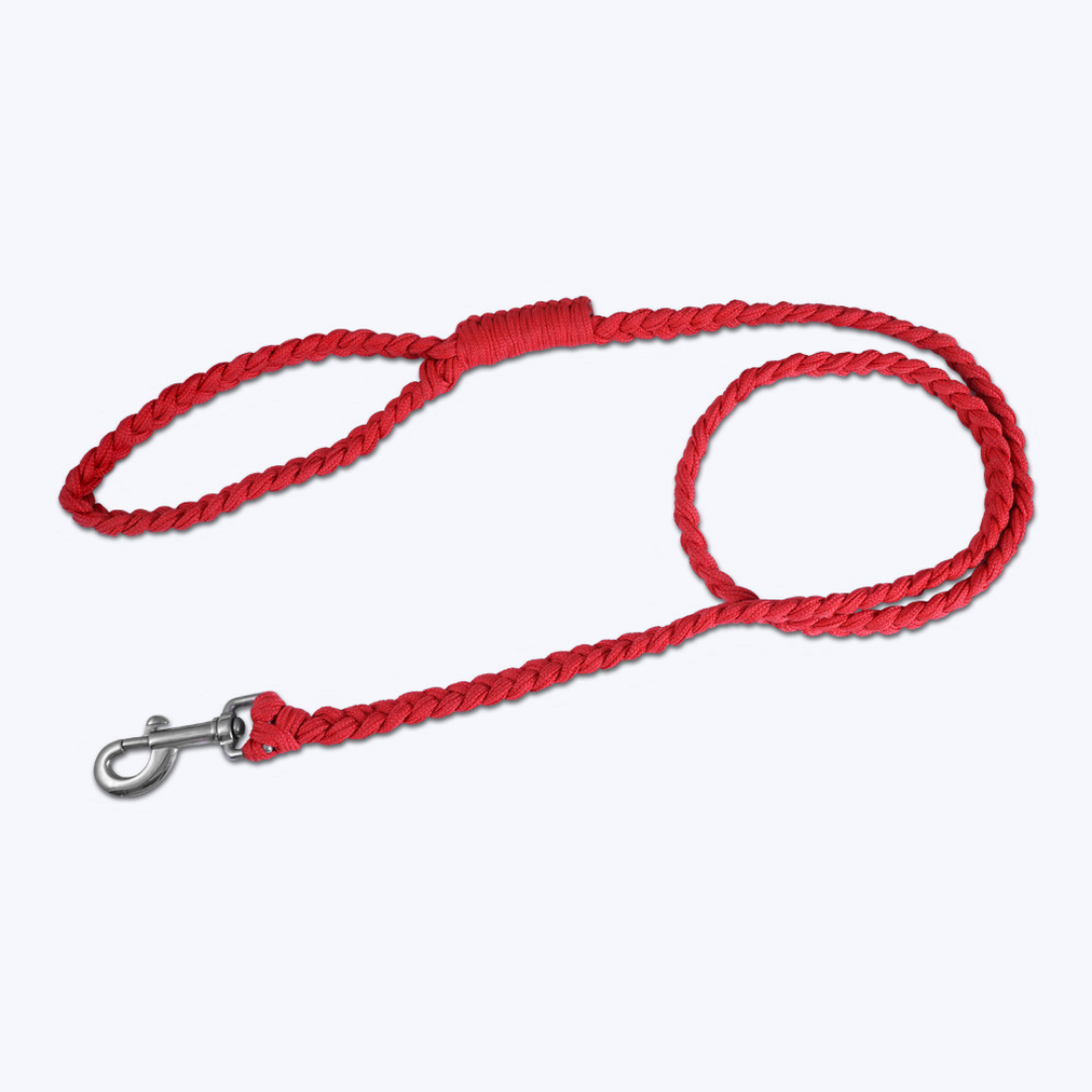 Hush Hush Soft Handcrafted Leash for Dogs