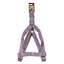 Basil Zig-Zag Print Padded Harness, Purple
