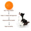 Basil Spiked Squeaky Chew Ball for Dogs & Puppies (Orange)