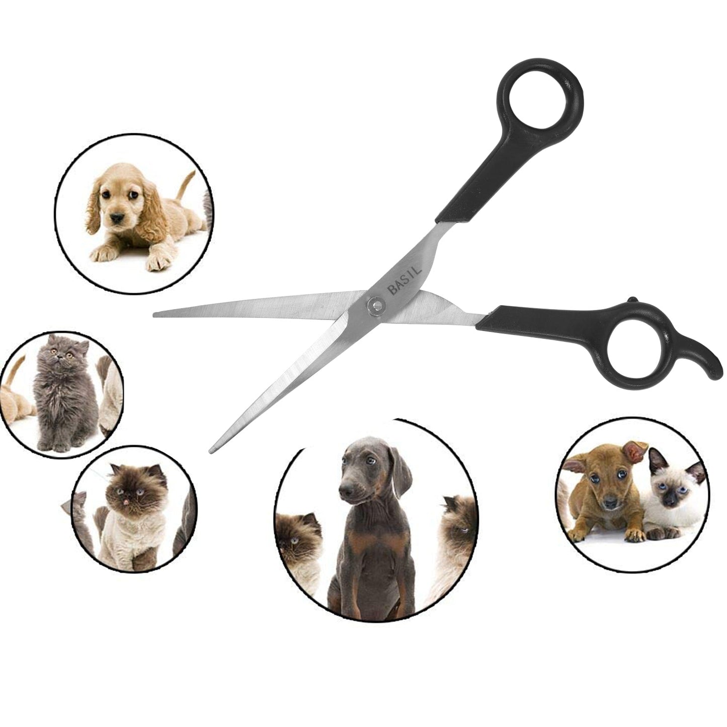 Basil Curved Shaped Scissor for Dogs & Cats