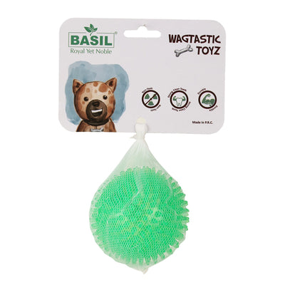 Basil Spiked & Squeaky Chew Ball, Toy for Dogs & Puppies (Green)