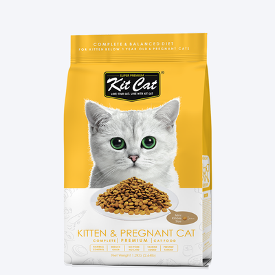 Kit Cat Chicken Premium Dry Kitten & Pregnant Cat Food