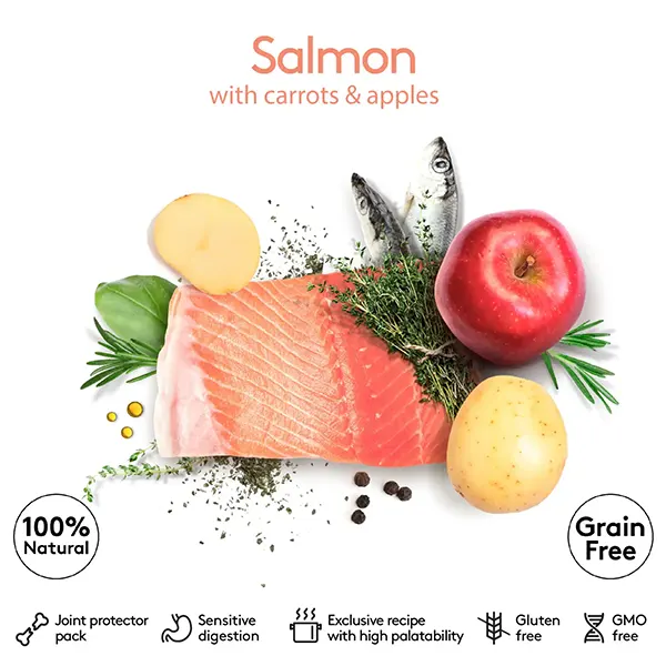 Dibaq Sense Grain Free Salmon