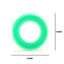 Basil Dog Chew Toy, Spiked Ring (Green)