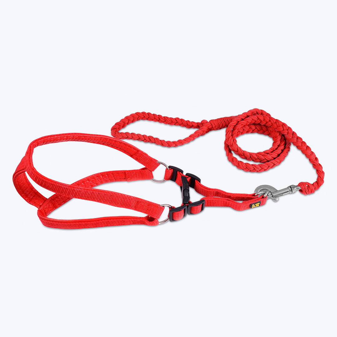 Hush hush hounds Handcrafted Durable Leashes and Sturdy Nylon Harness combo for Dogs