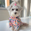 Coochipoo Pawfect Prisim shirt for Dogs