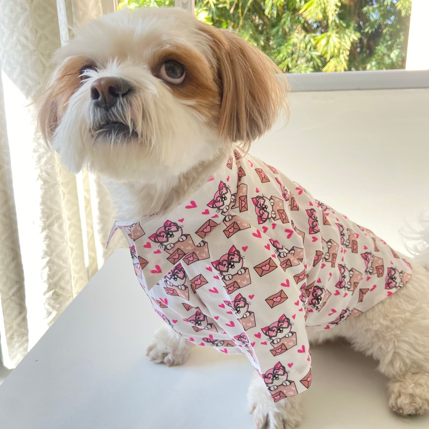 Coochipoo Pawfect Paw-lentine shirt for Dogs