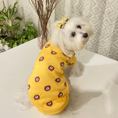Coochipoo Sunshine Teddy Sweatshirts for Dogs