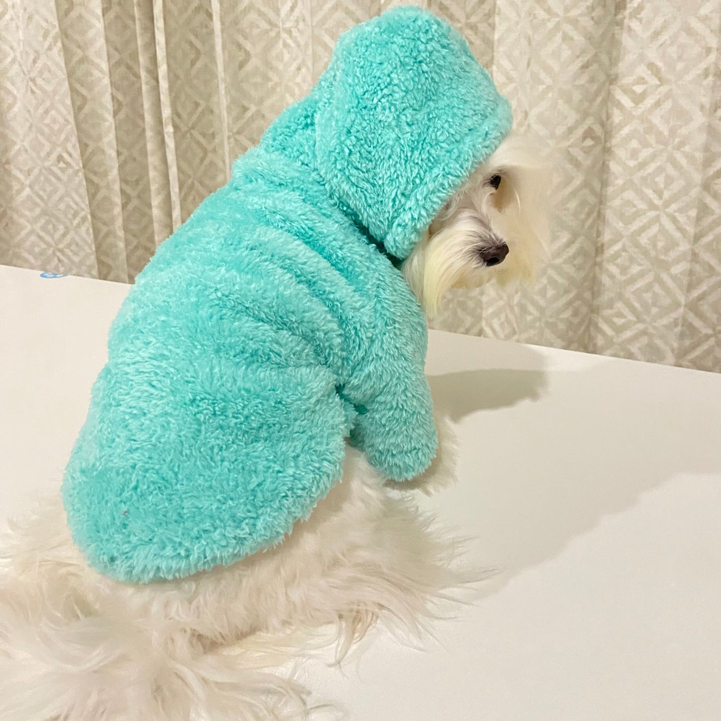 Coochipoo Aqua Blue Snuggly Winter Wear for Dogs