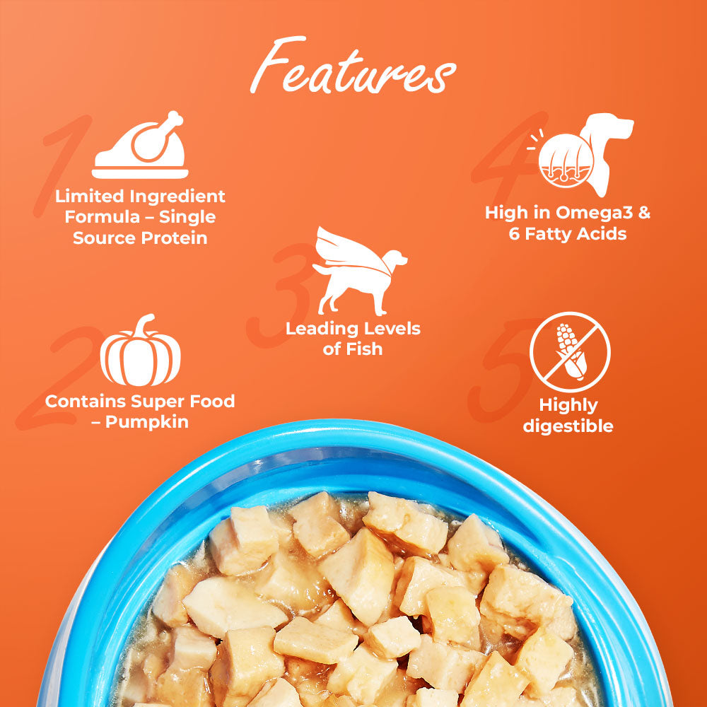 Kennel Kitchen Supreme Cuts in Gravy Fish With Pumpkin For Dogs - 100g each (Pack of 12)