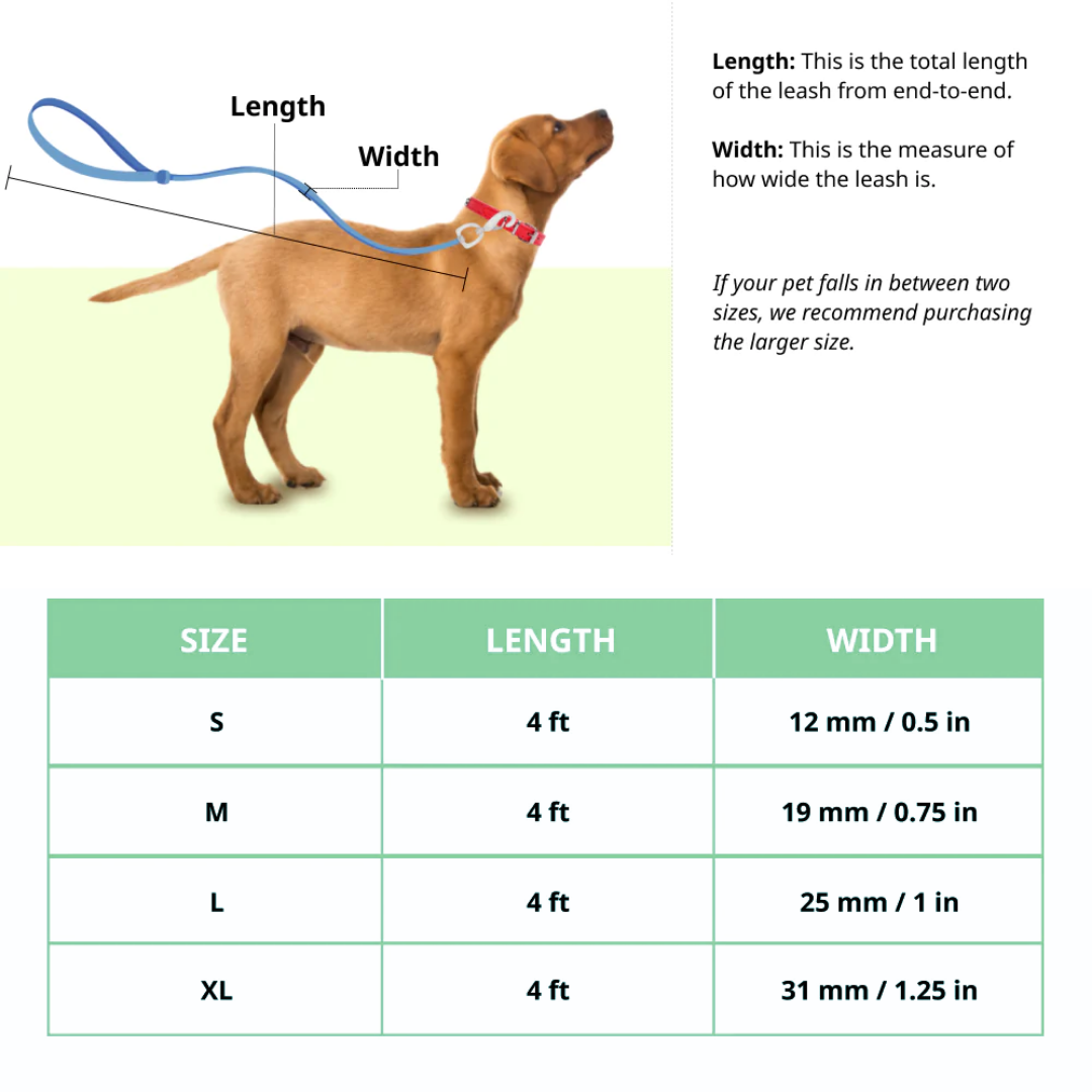 Basil Rope Leash for Dogs, 4 Feet (Solid Green)