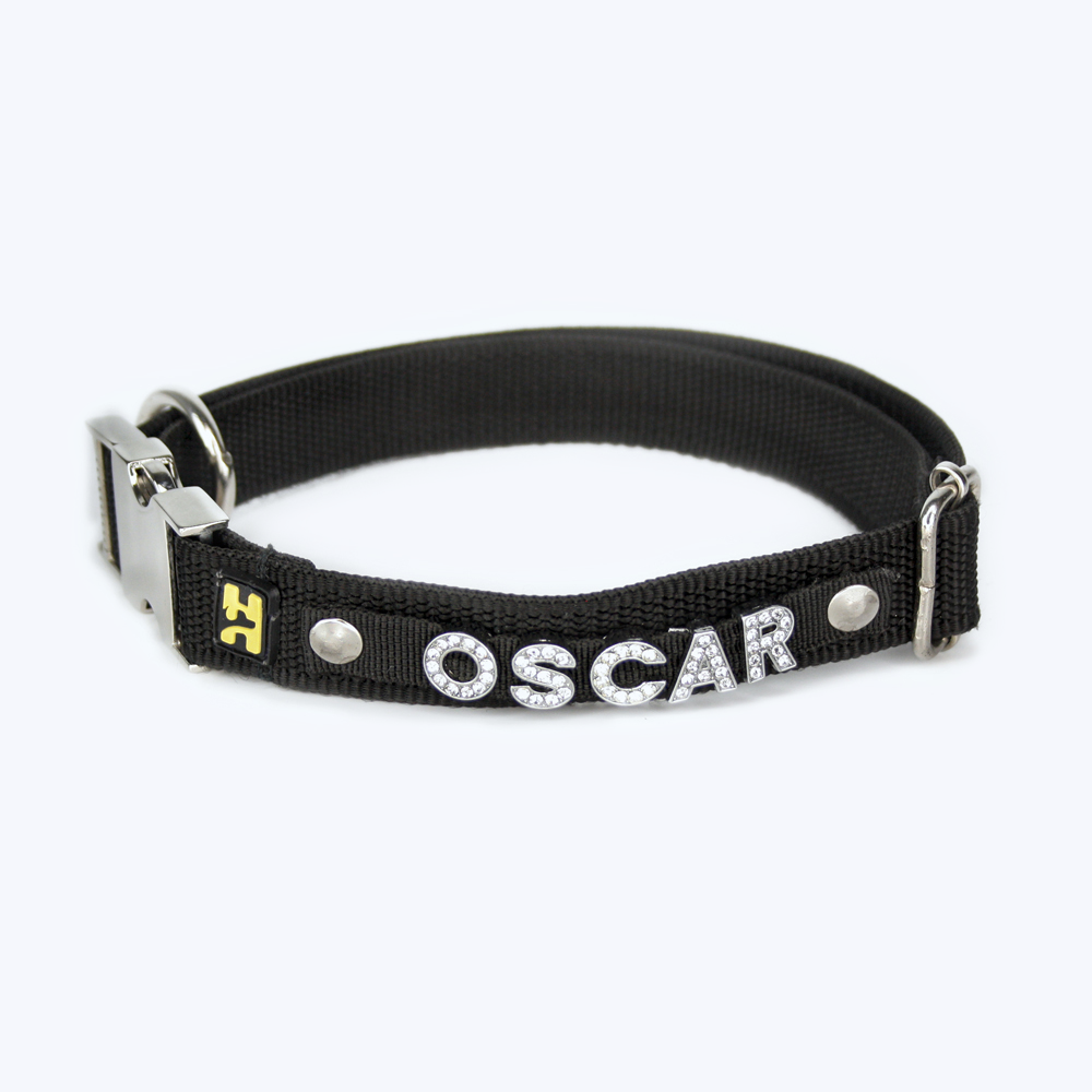 Hush Hush Hush Hounds Customisable Click Collar to Upgrade Your Pet's Style