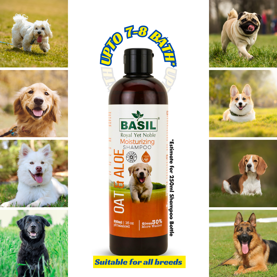 Basil Oats & Aloe Moisturizing Shampoo for Dogs and Puppies