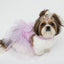 Coochipoo Lavender Prima Ballerina Dress for Dogs