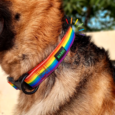 Basil Rainbow Padded Adjustable Collar for Dogs & Puppies