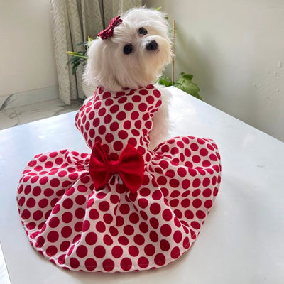 Coochipoo Red Polka Dress for Dogs