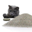 Taily Mate Super Fresh Clumping Litter
