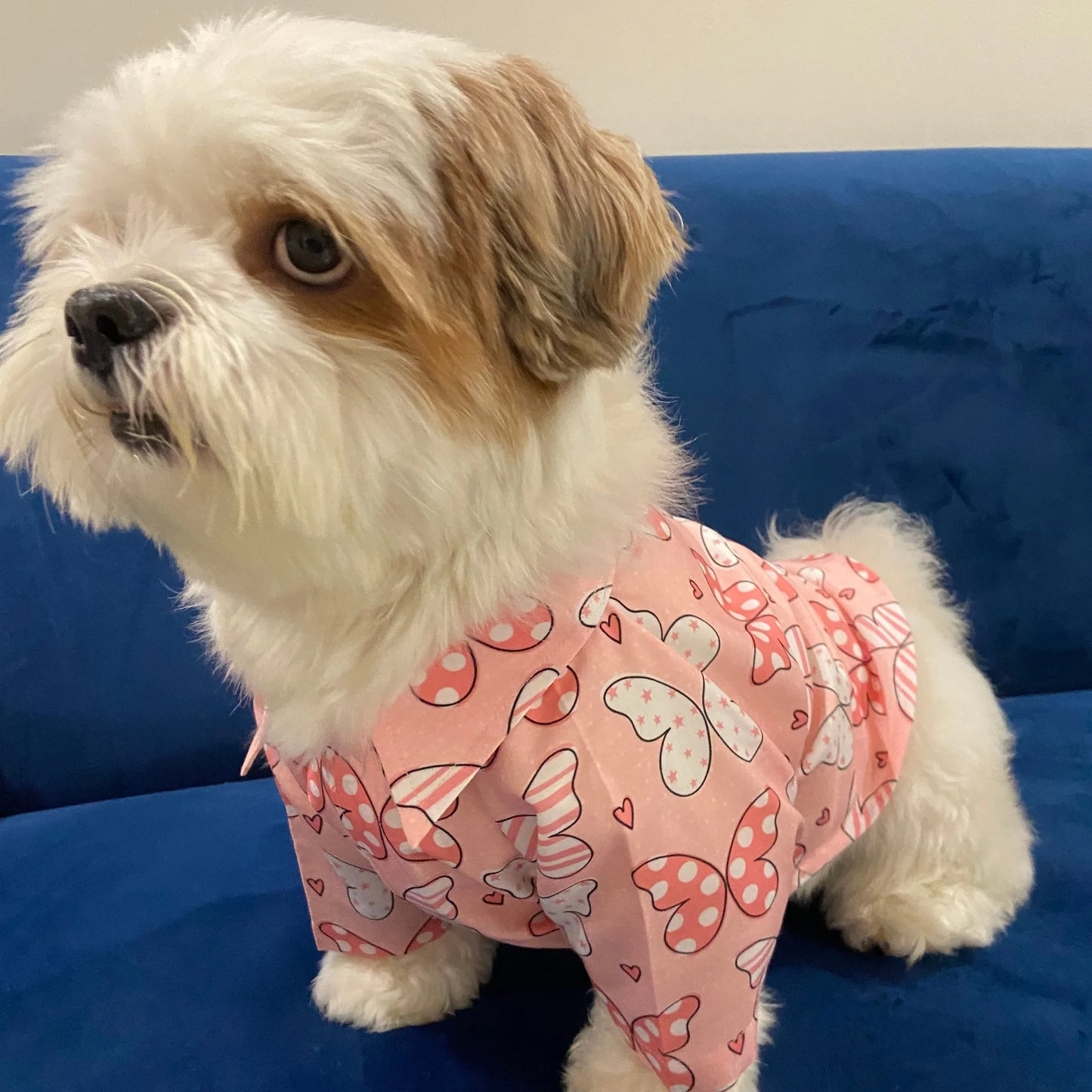 Cochipoo Beautiful Butterfly Shirt For Dogs