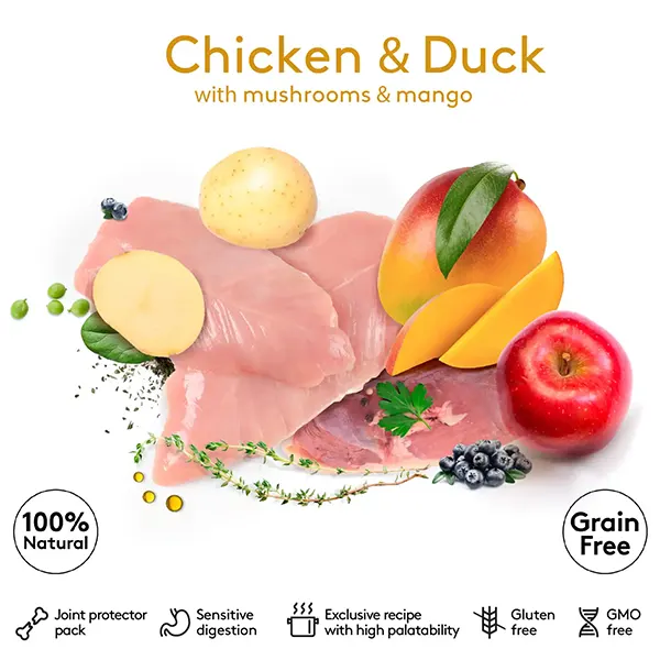 Dibaq Sense Grain Free Chicken and Duck (Wet Food) – 380 gm