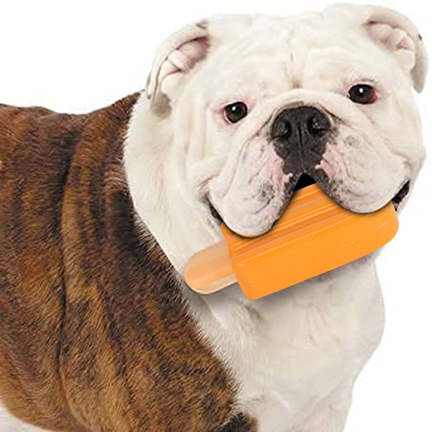 Basil Cool Lick Silicon Ice-Cream Pet Toy, Freeze and Play (Orange)