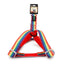 Basil Adjustable Harness for Dogs & Puppies (Rainbow)