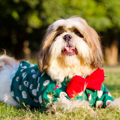 Coochipoo Snowman Flannel Shirt for Dogs
